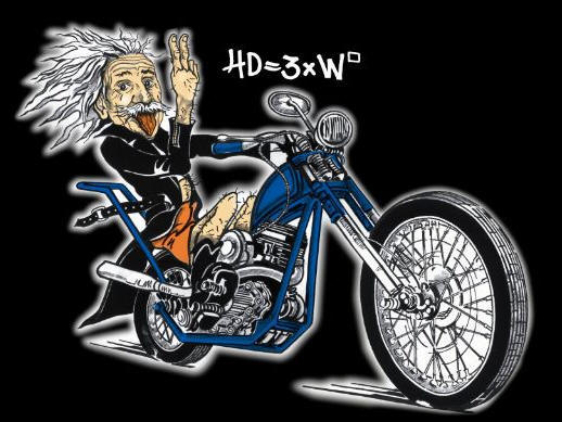 Einsteinchapter